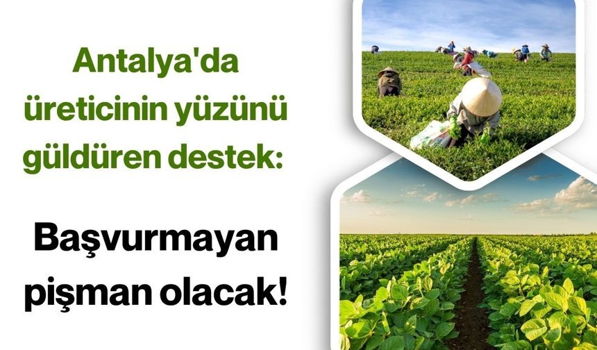 Antalya'da üreticinin yüzünü güldüren destek: Başvurmayan pişman olacak!