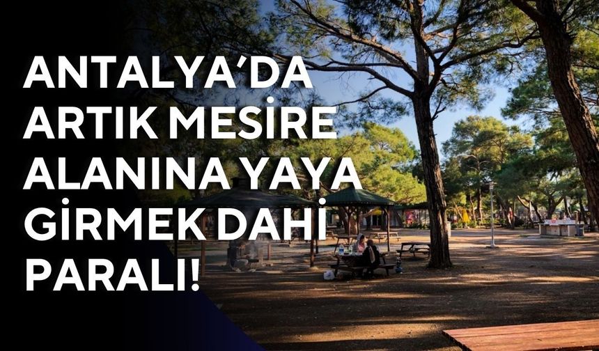 Antalya’da artık mesire alanına yaya girmek dahi paralı!
