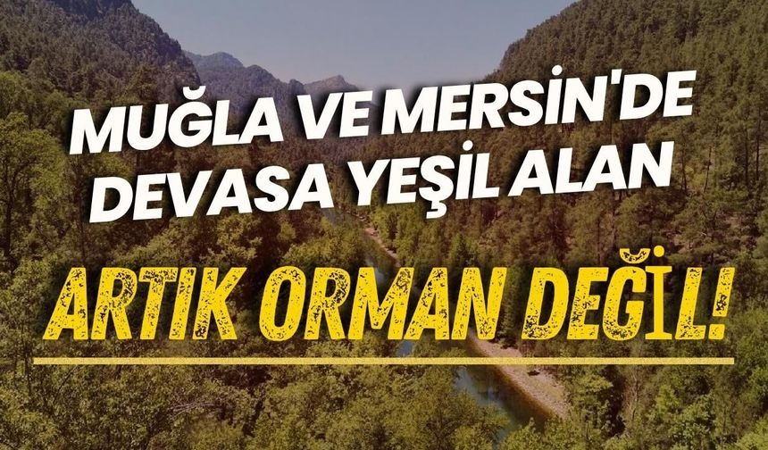 Muğla ve Mersin'de devasa yeşil alan artık orman değil!