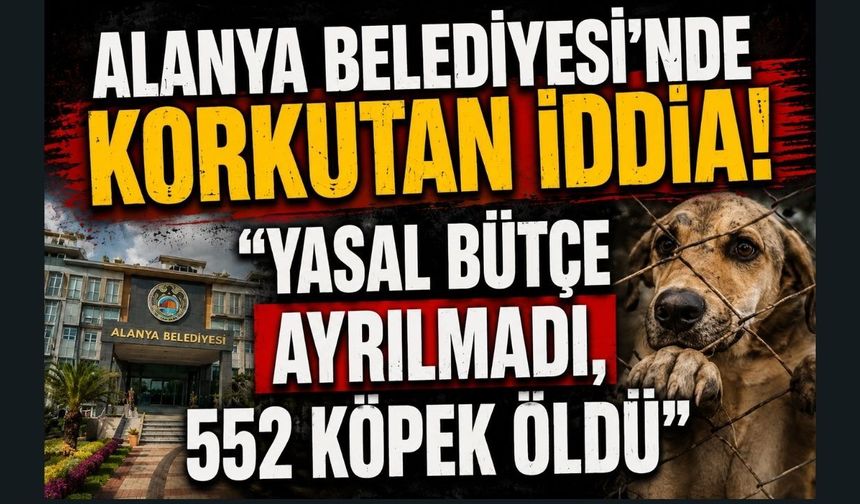 Alanya Belediyesi’nde korkutan iddia! Sokak hayvanlarına bütçe ayrılmadı, 552 köpek öldü