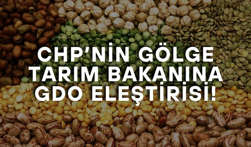 CHP’nin gölge tarım bakanına GDO eleştirisi!