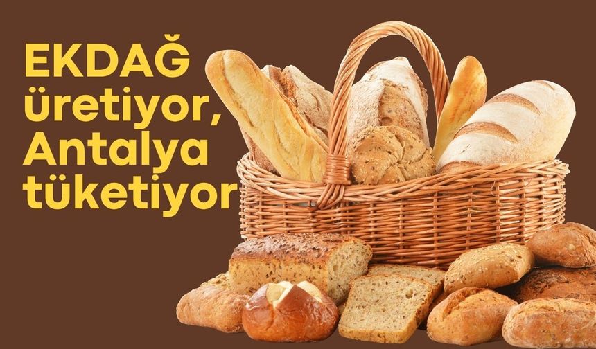 EKDAĞ üretiyor, Antalya tüketiyor