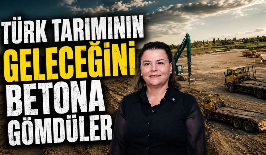 Ebru Kaçın isyan etti: “Türk tarımının geleceğini betona gömdüler”