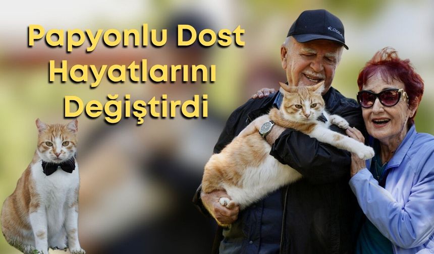 Antalya'da 80 yaşındaki çiftin mutluluk kaynağı: Kedileri Foça