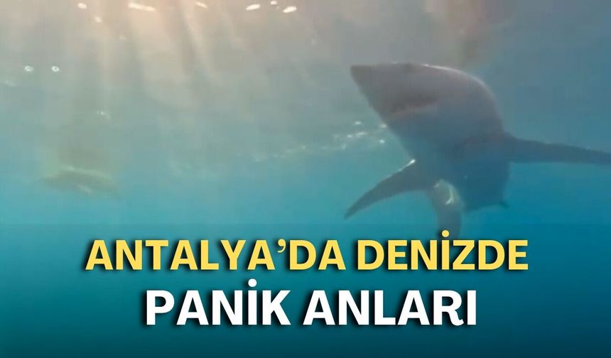 Antalya’da denizde panik anları: Köpek balığının saldırı anlarını kaydettiler!