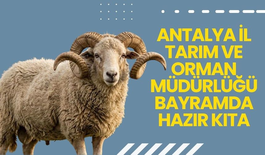 Antalya İl Tarım ve Orman Müdürlüğü bayramda hazır kıta