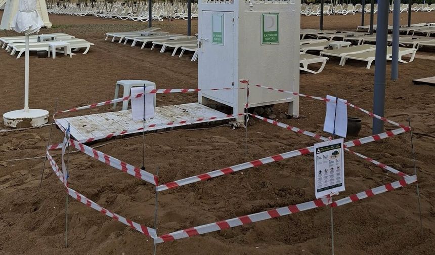 Manavgat plajlarında örnek davranış: Carettaların yuvalama alanları koruma altında