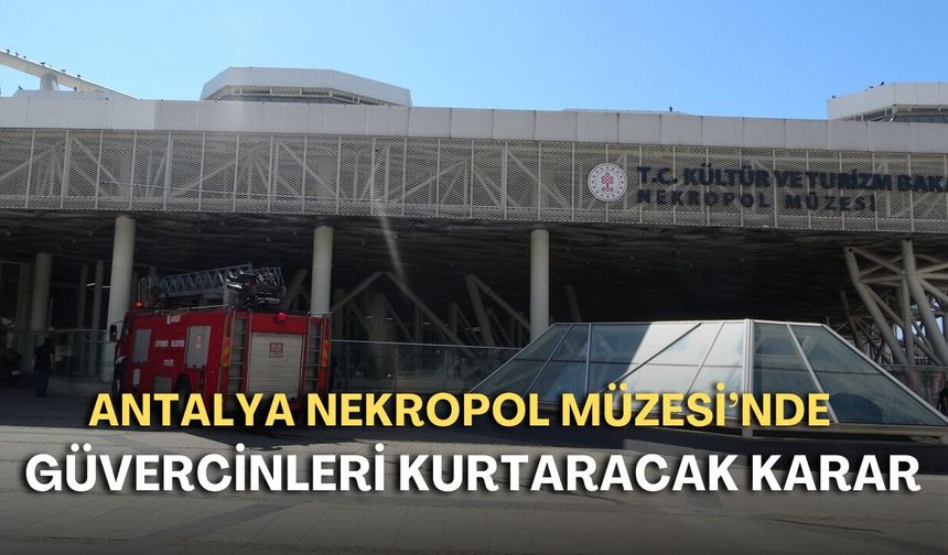 Antalya Nekropol Müzesi'nde güvercinleri kurtaracak karar!