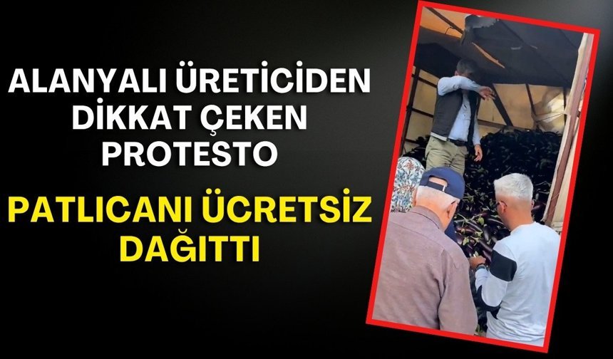 Alanyalı üreticiden dikkat çeken protesto! Patlıcanı ücretsiz dağıttı