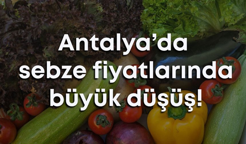 15 Mayıs 2026 sebze ve meyve fiyatları: Antalya’da sebze fiyatlarında büyük düşüş!