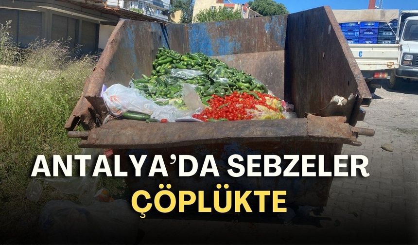 Bir yanda pahalılık diğer yanda israf: Antalya’da sebzeler çöplükte