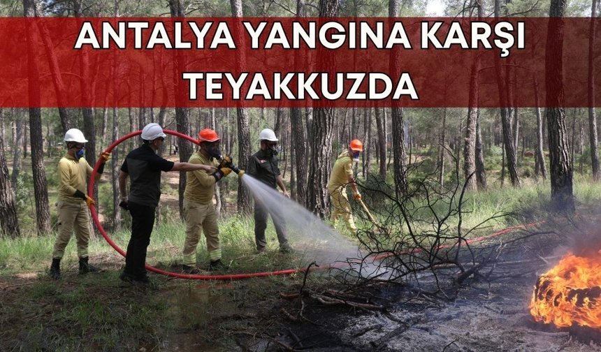 Antalya, yangın riskinde 1. sırada: Ekip tam kadro sahada