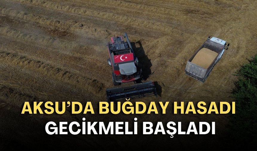 Aksu'da buğday hasadı gecikmeli başladı!