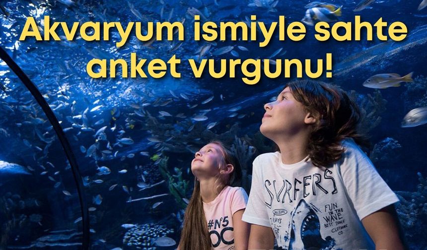 Antalya Akvaryum ismiyle sahte anket vurgunu! Hedefte çocuk ve gençler var