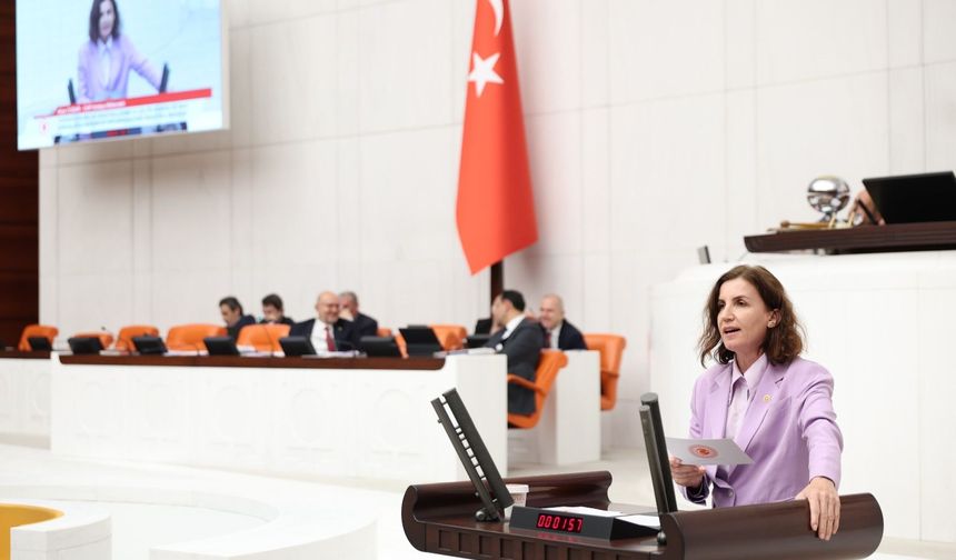 Aliye Coşar'dan COP31 hatırlatması: "Ormanlarımızın yok edilmesi kabul edilemez"