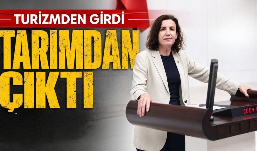 Aliye Coşar, turizmden girdi, tarımdan çıktı