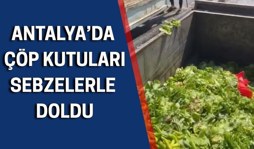 Antalya’da çöp kutuları sebzelerle doldu!
