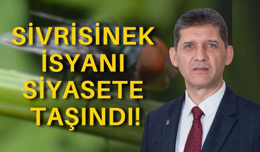Antalya'da sivrisinek isyanı! AK Parti'den Büyükşehir'e çağrı