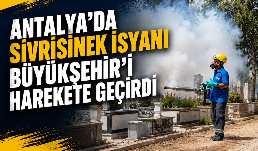 Antalya'da sivrisinek isyanı Büyükşehir’i harekete geçirdi