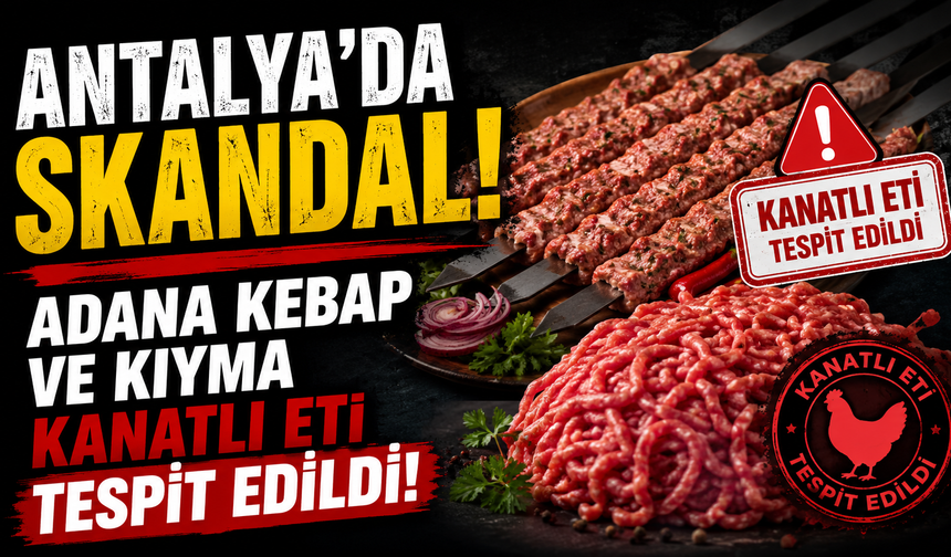 Antalya'da skandal! Adana kebap ve kıymada kanatlı eti tespit edildi