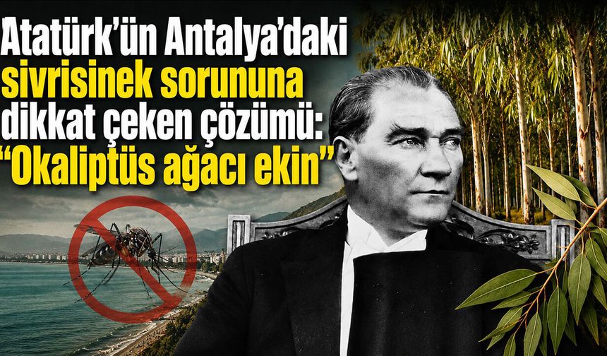 Atatürk'ün Antalya'daki sivrisinek sorununa dikkat çeken çözümü: "Okaliptüs ağacı ekin"
