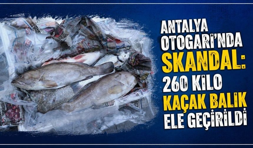 Antalya Otogarı’nda skandal: 260 kilo kaçak balık ele geçirildi