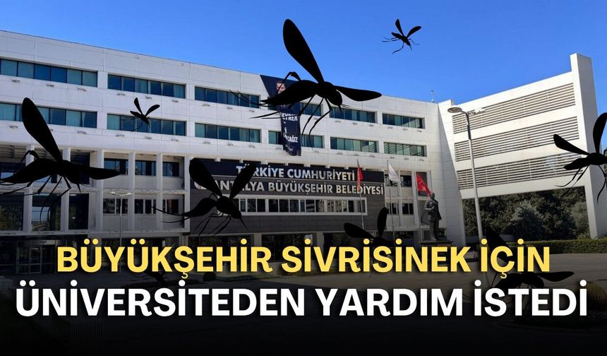 Antalya’da sivrisinek alarmı: Büyükşehir üniversiteden yardım istedi