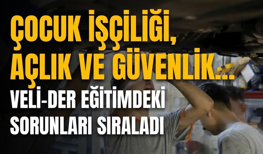 Çocuk işçiliği, açlık ve güvenlik... Veli-Der eğitimdeki sorunları sıraladı