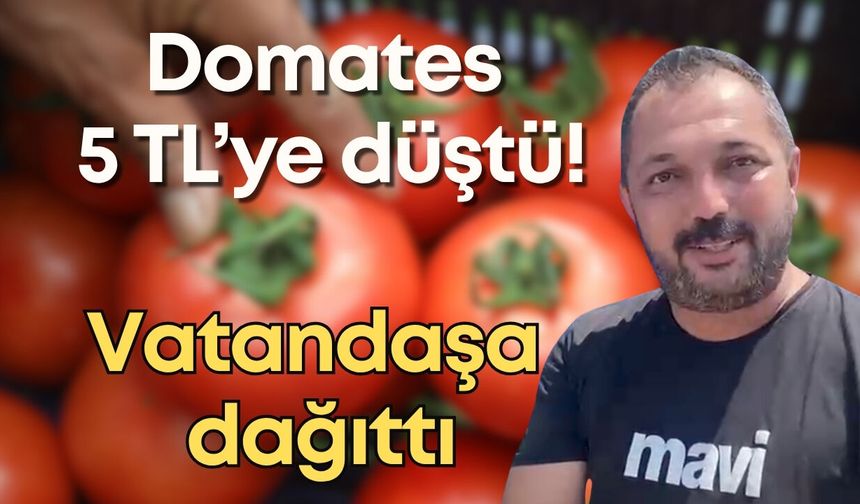 Antalya’da domates 5 TL’ye düştü: Çiftçi, bedavaya dağıttı