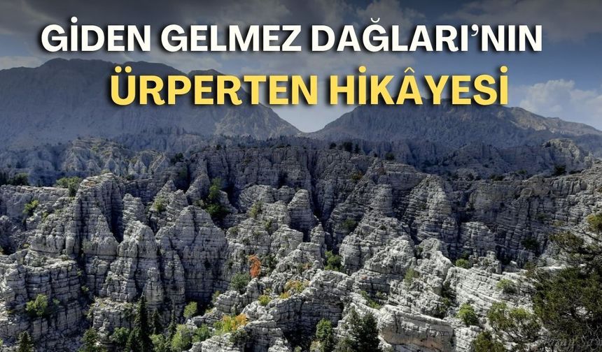 Giden Gelmez Dağları’nın ürperten hikâyesi: 27 yıl sonra babasının kemiklerini buldu!