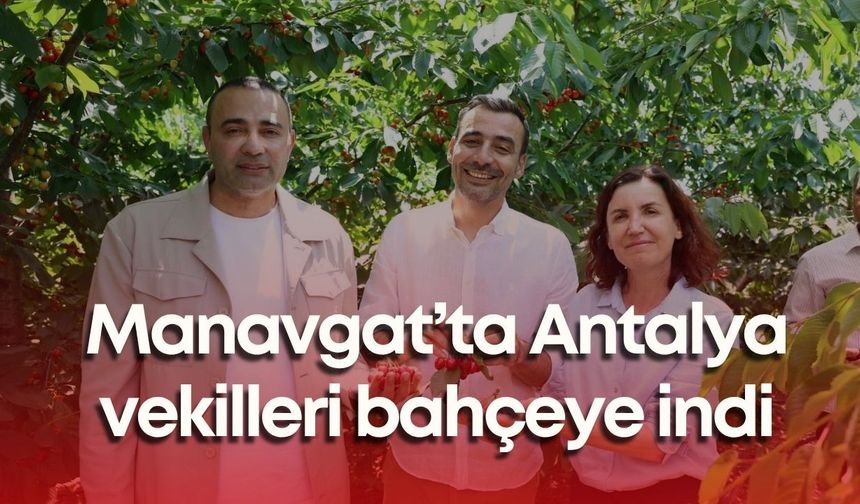Manavgat’ta kiraz hasadı coşkusu! Antalya vekilleri bahçeye indi