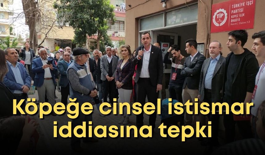 Antalya’da köpeğe cinsel istismar iddiasına tepki