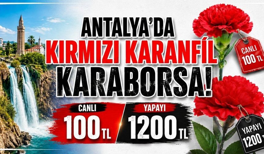 Antalya’da kırmızı karanfil karaborsa! Canlı 100, yapay 1200 TL oldu!