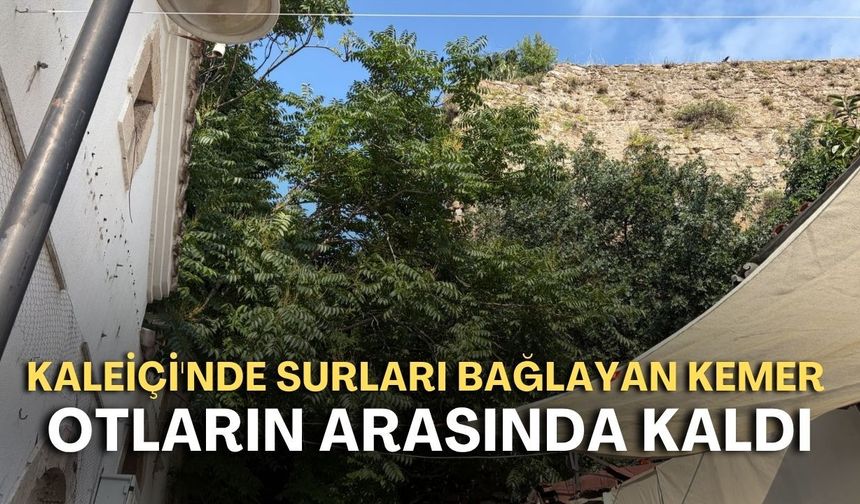 Kaleiçi'nde surları bağlayan kemer otların arasında kaldı!
