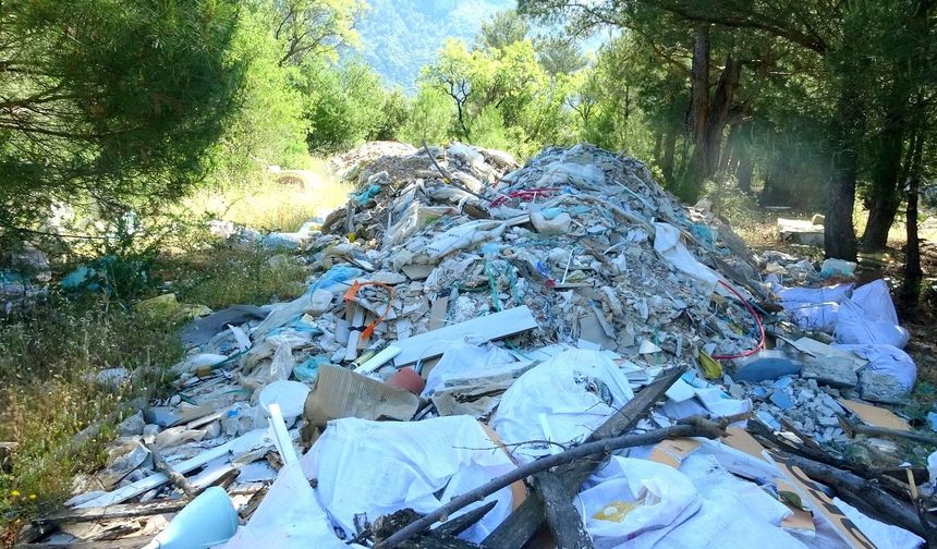 Muğla’da ormanlık alanlar moloz altında kaldı!