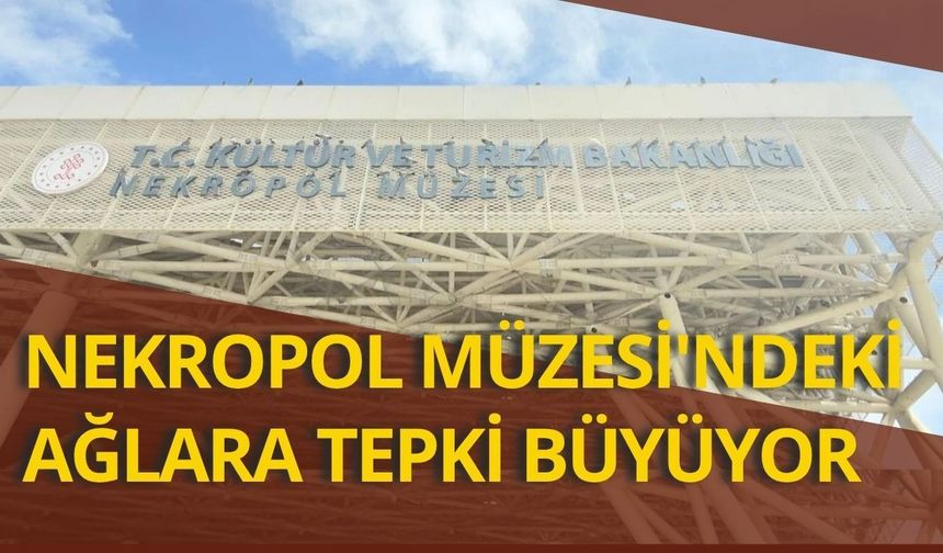 Nekropol Müzesi'ndeki ağlara tepki büyüyor