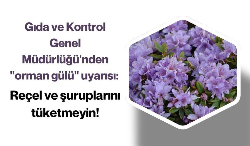 Gıda ve Kontrol Genel Müdürlüğü'nden "orman gülü" uyarısı: Reçel ve şuruplarını tüketmeyin!