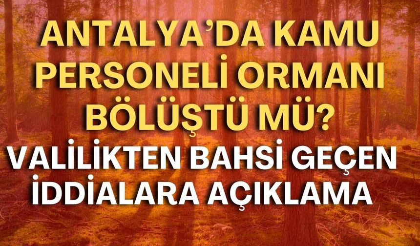 Antalya’da kamu personeli ormanı bölüştü mü? Valilikten bahsi geçen iddialara açıklama!