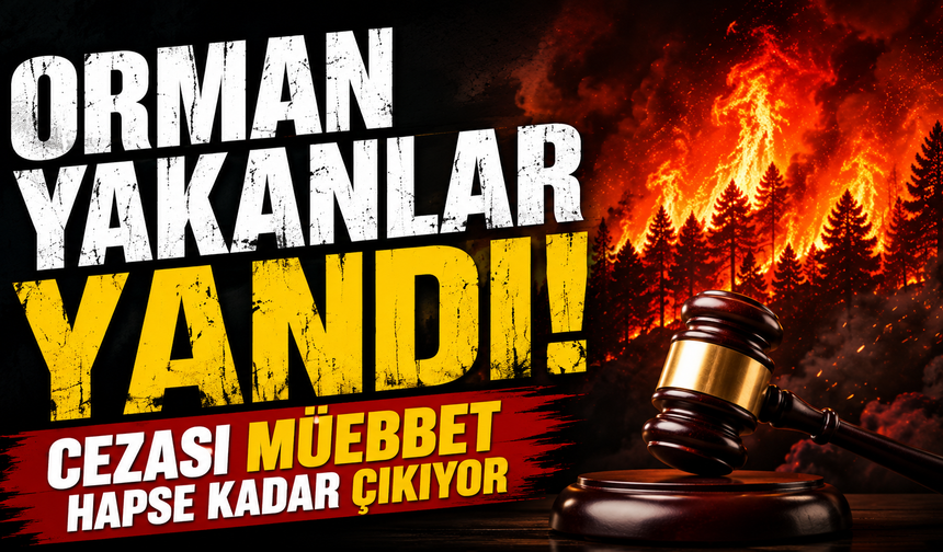 Orman yakanlar yandı! Cezası müebbet hapse kadar çıkıyor