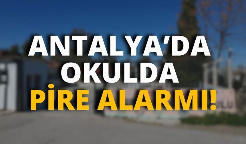 Antalya’da okulda pire alarmı! Eğitime 4 gün ara verildi