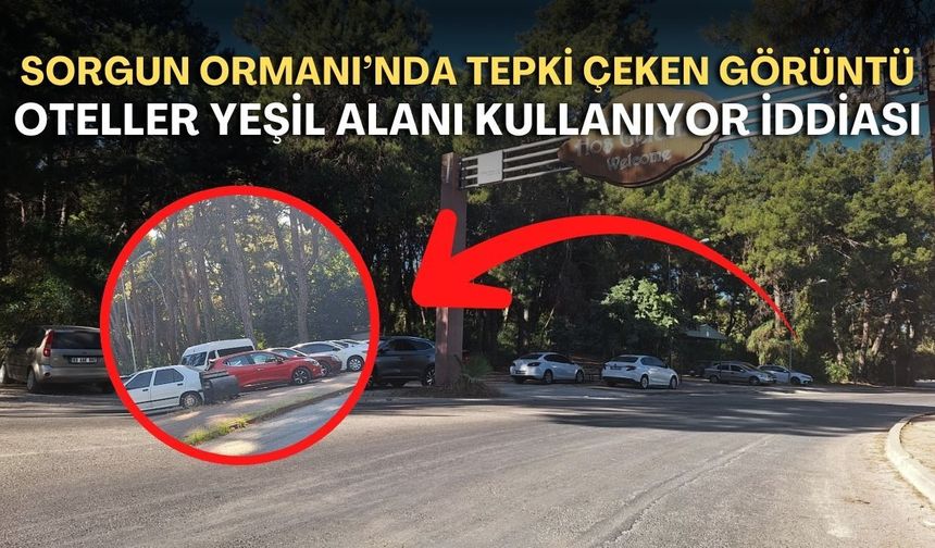 Sorgun Ormanı'nda tepki çeken görüntü! Oteller yeşil alanı kullanıyor iddiası