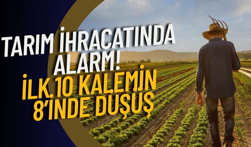 Tarım ihracatında alarm! ilk 10 kalemin 8’inde düşüş