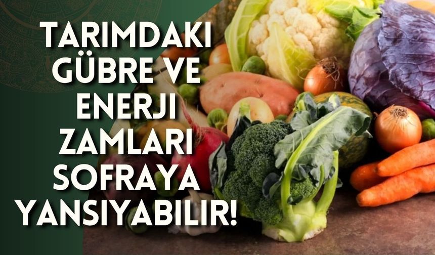 Tarımdaki gübre ve enerji zamları sofraya yansıyabilir!