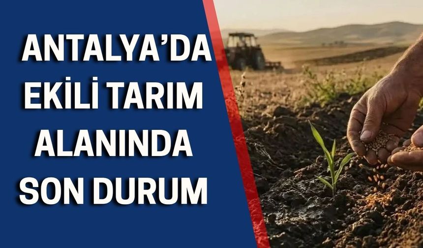 TÜİK açıkladı: Antalya’da ekili tarım alanında son durum
