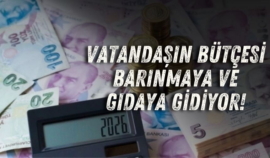Vatandaşın bütçesi barınmaya ve gıdaya gidiyor!
