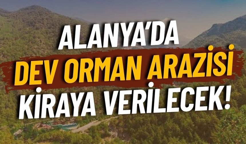 Alanya'da 26 bin hektarlık Hıdırellez Orman Parkı kiraya verilecek!