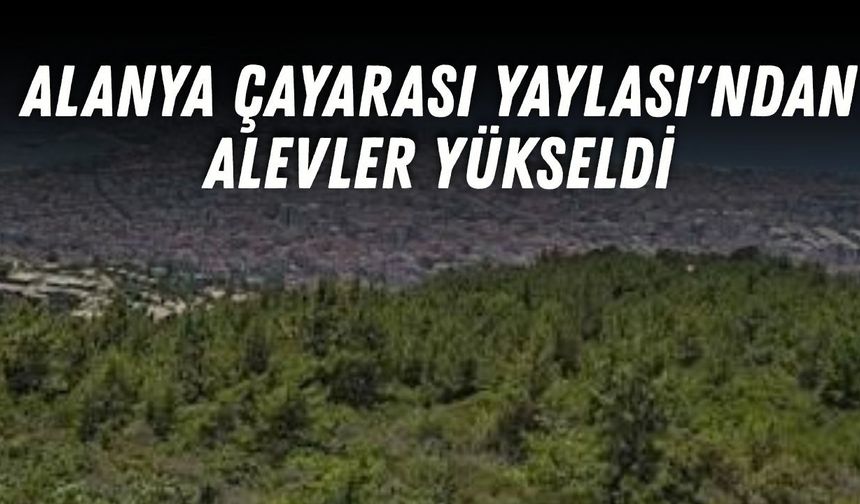 Alanya'da korkutan yangın! Çayarası Yaylası'ndan dumanlar yükseldi