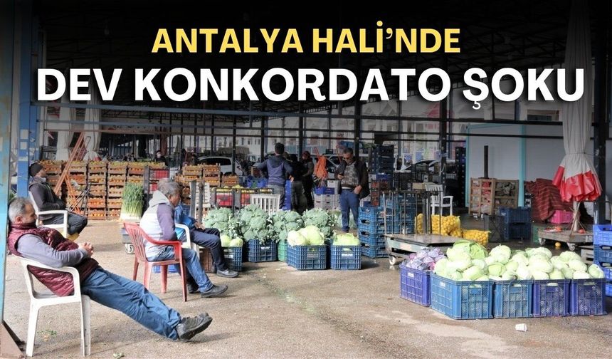 Antalya Hali'nde dev konkordato şoku: Onlarca alacaklı kara kara düşünüyor