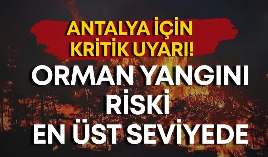 Antalya için kritik uyarı! Orman yangını riski en üst seviyede