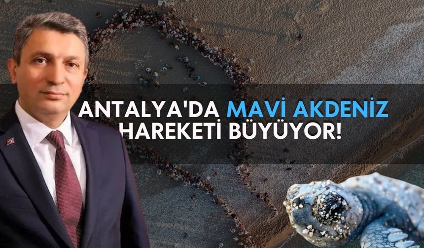 Antalya'da Caretta Caretta Heyecanı! Yavrular Çıralı'da Denizle Buluştu